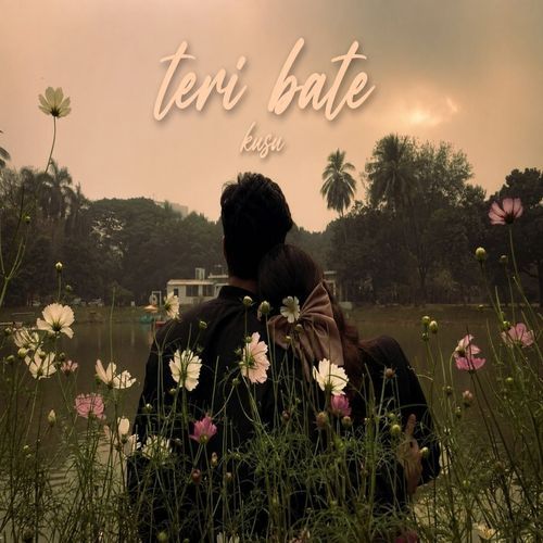 Teri bate