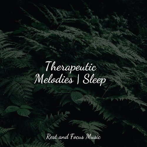 Therapeutic Melodies | Sleep