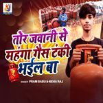 Tor Jawani Se Mahanga Gas Tanki Bhail Ba