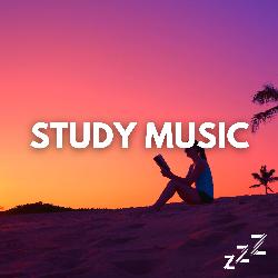 1 Hour of Study Piano Music for Concentration & Nature Sounds (Loopable, No Fade)