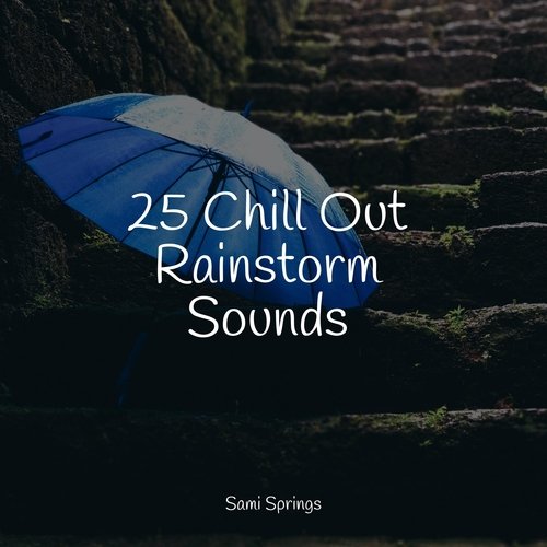 25 Chill Out Rainstorm Sounds_poster_image