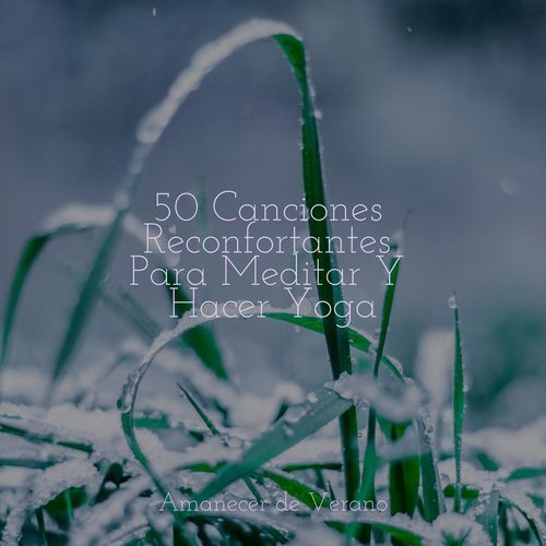 50 Canciones Reconfortantes Para Meditar Y Hacer Yoga