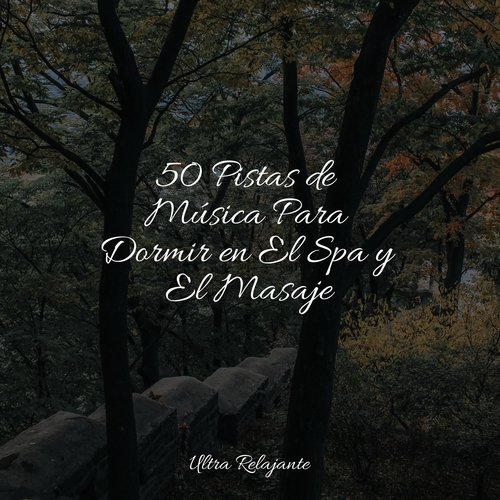 50 Pistas de Música Para Dormir en El Spa y El Masaje_poster_image