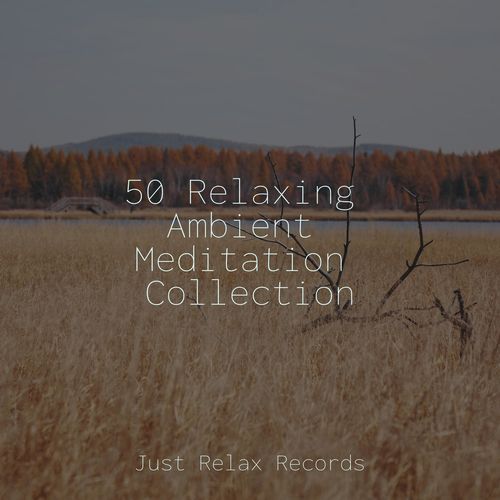 50 Relaxing Ambient Meditation Collection_poster_image