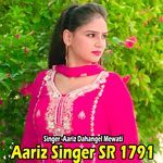 Aariz Singer SR 1791