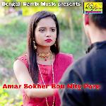 Amar Sokher Bou Nity Pore
