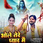 BHOLE TERE PYAR MAIN