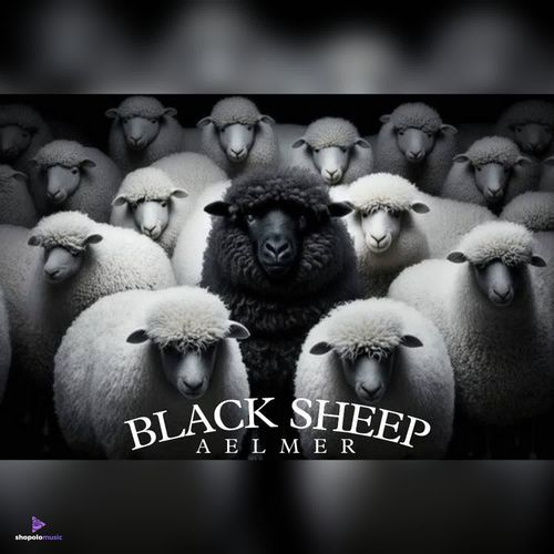 BLACK SHEEP