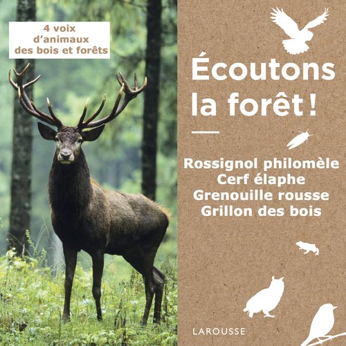 Bande sonore de présentation - ÉCOUTONS LA FORÊT ! (4 voix d&#039;animaux des bois et forêts)_poster_image