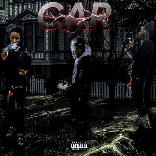 Car cover art