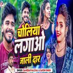 Choliya Lagao Jali Daar artwork