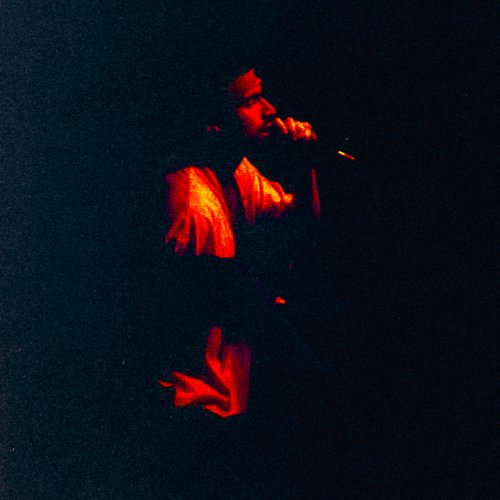 Knevil Reeves cover art