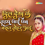 Dil Dekh Ke Tadap Jai Jab Barat Tohar Aai