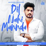 Dil Nahi Mannda