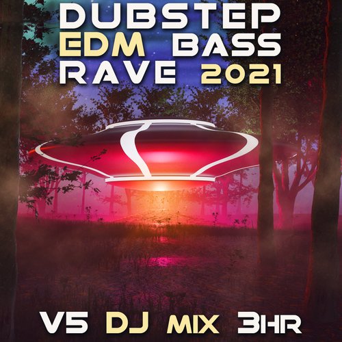 Drunken Monkey (Dubstep Bass 2021 Mix) (Mixed) cover art