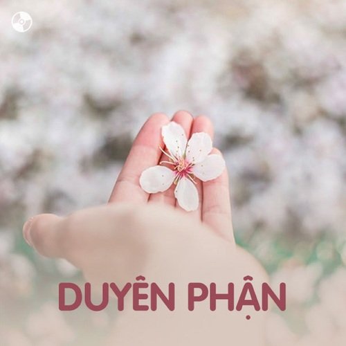 Duyên Phận_poster_image