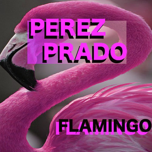 Ay Ay Ay Song Download From Flamingo Jiosaavn