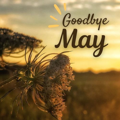 Goodbye May