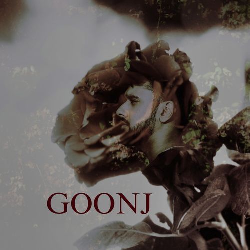 Goonj