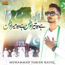 Hai Ye Tera Watan Hai Ye Mera Watan