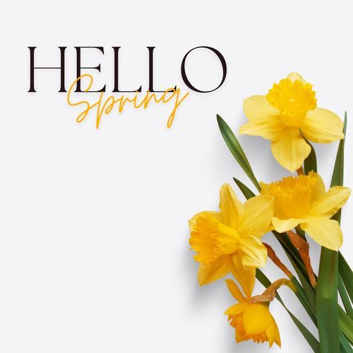 Hello Spring