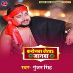 Karonava Leta Janava