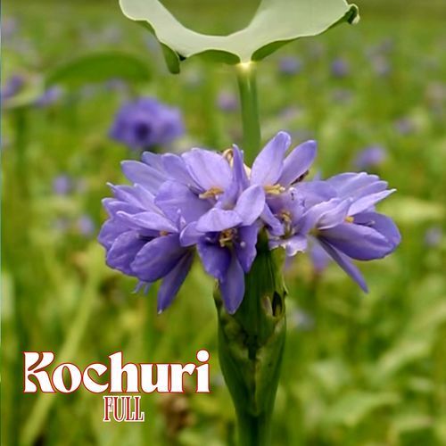 Ek Kochuri Full