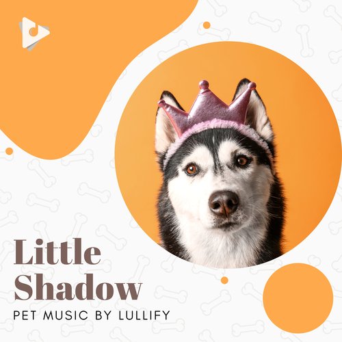 White Paw cover art