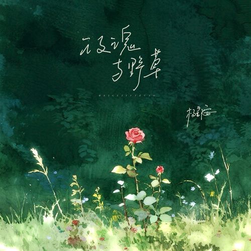 玫瑰与野草 cover art