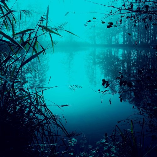 MISTY LAKE cover art