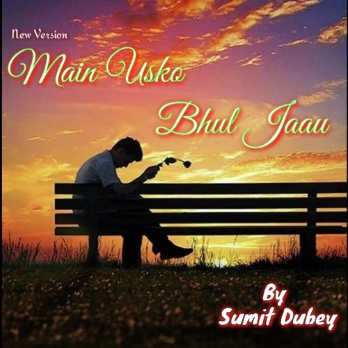 Main Usko Bhul Jaau_poster_image