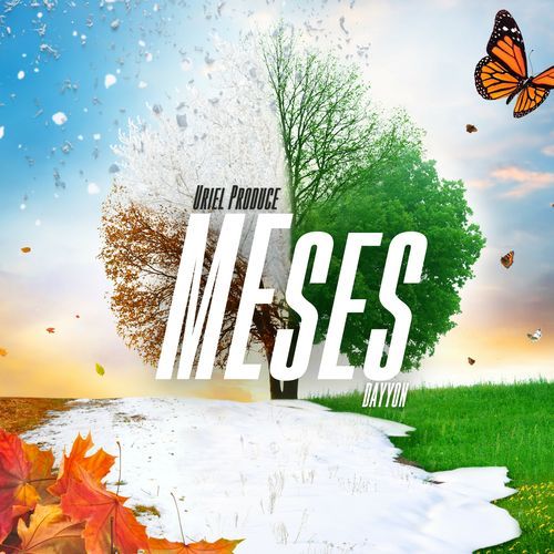 Meses cover art