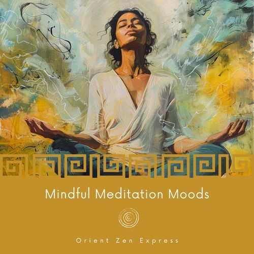 Mindful Meditation Moods_poster_image