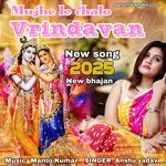 Mujhe Le Chalo Vrindavan