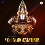 Namo Namo Venkatesha