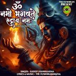 Om Namo Bhagvate Rudrayay Namaha