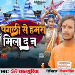 Pagali Se Hamara Mila Da Na