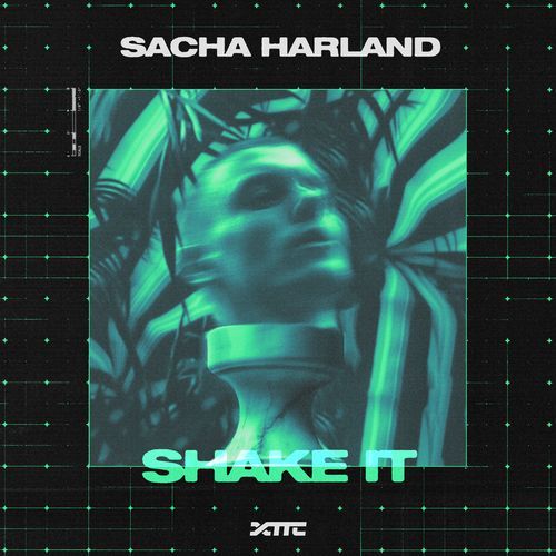 Shake It (Extended Mix)