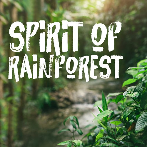 Spirit of Rainforest: Beautiful and Unbridled of Nature_poster_image