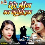 Tere Bin Mar Jayenge Hum