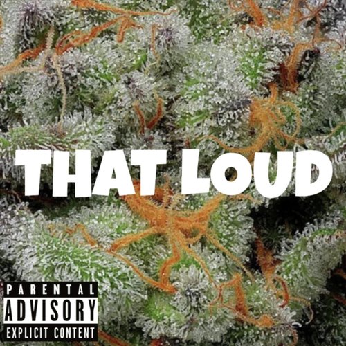 Trippy Truth (feat. Cheech) cover art
