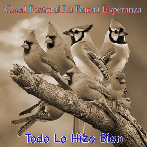 En La Fiesta Del Domingo cover art