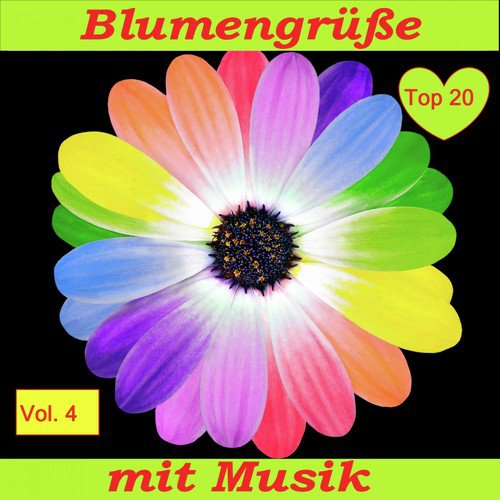 Top 20: Blumengrüße mit Musik, Vol. 4