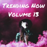 Trending Now Volume 13