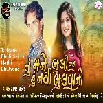 Tu Mane Bhuli Gai Hu Nathi Bhulvano