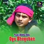 Tumi Dekha Dao Ogo Bhogoban