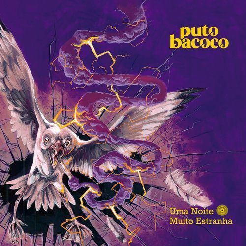 Senhor Doutor cover art