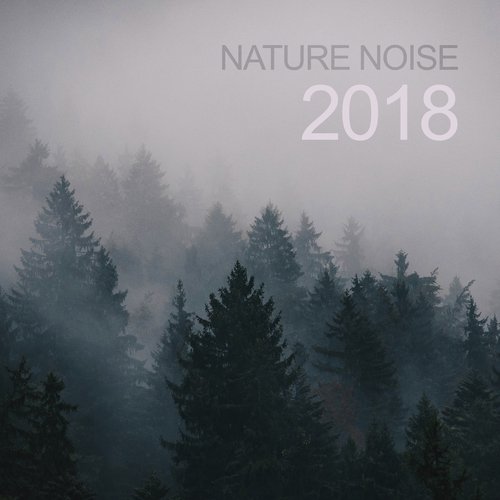 Ambient Nature Sounds cover art