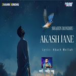 Akash Jane
