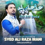 Ali Ali Bolo